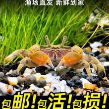 зззƿȸϺг