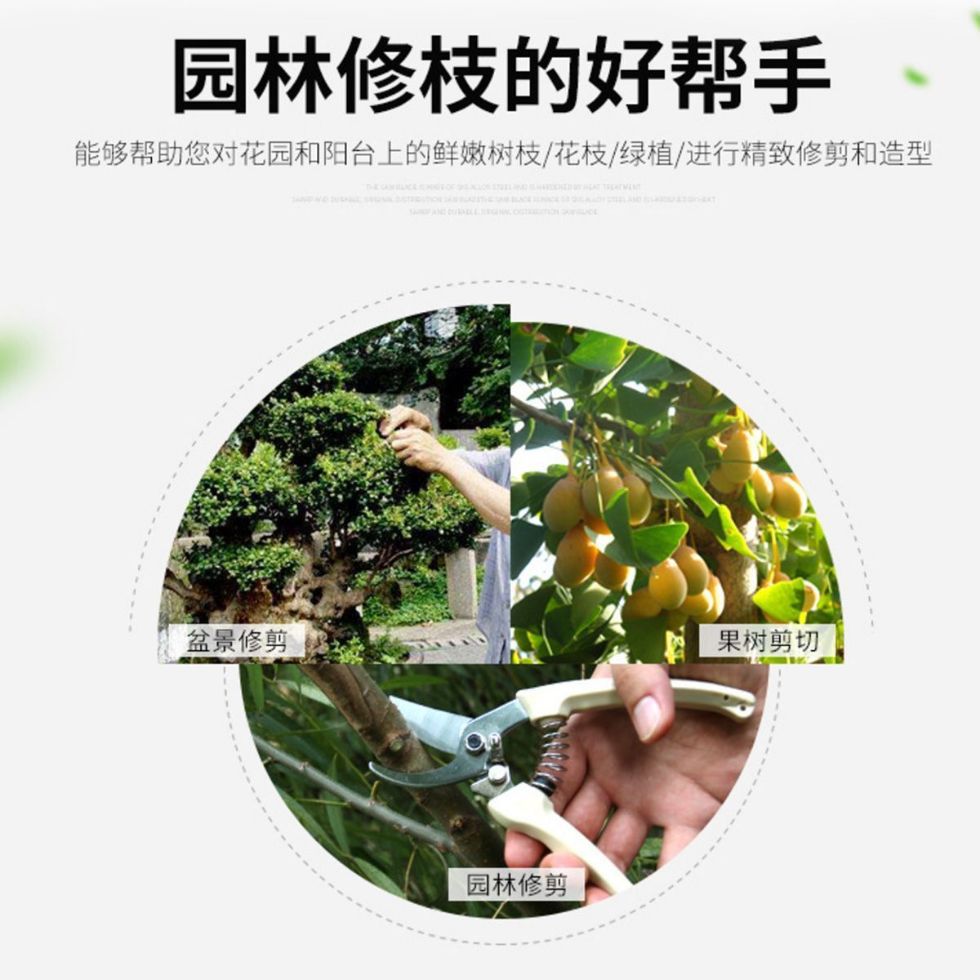 대만 CHUANYU 130T 꽃 가위 SK5 가지 가위 정원 가지 치기 가위 정원 가지 치기 가위 과일 나무 앨리스 스타일