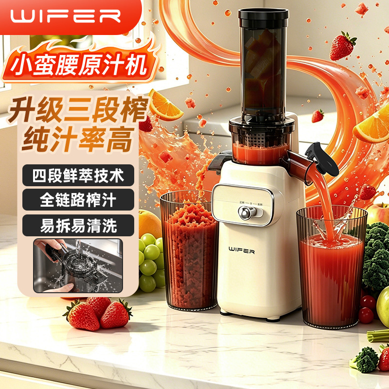 New Model of Juicer for Home Use, Juice and Pulp Separation, Multifunctional, Small Portable Fruit Juicer, Three-Stage Extraction