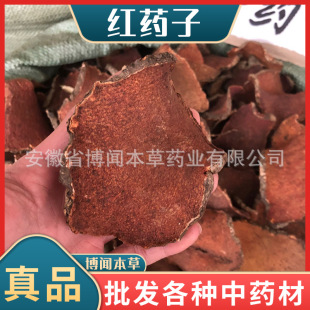 �tș����ș����ݹ ��ɰɏ �tș�ӷ� �t���� ���� Ⱦ���� Ѫ����