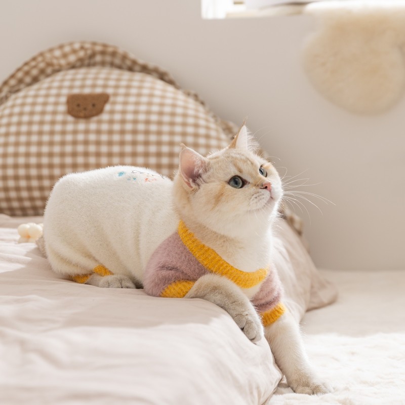 猫咪衣服仿貂绒保暖四脚毛衣秋冬季德文猫无毛猫泰迪比熊宠物衣服|undefined