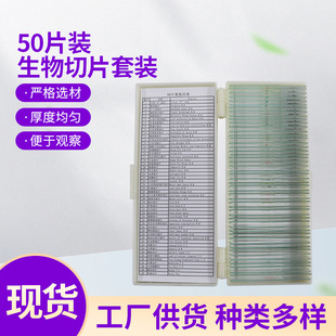 �@΢�R����ֲ��˱���Ƭ50Ƭ/�����b�@΢�R��Ƭ�˱�����̌W����