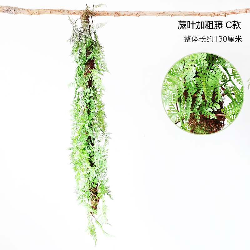 Fern leaves and thick rattan—Type C—dry branches