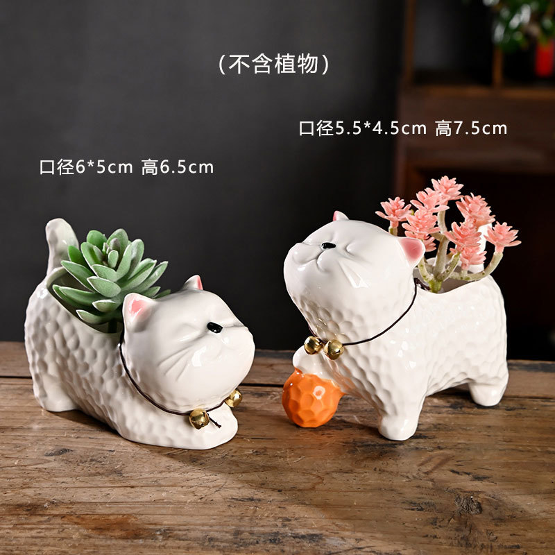 Pequeña caricatura, animal creativo, maceta carnosa, cerámica, arcilla especial para el hogar, maceta de control de raíces de cerámica gruesa, venta al por mayor