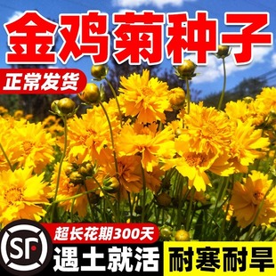 �ջ��N�Ӵ󻨽��u�ջ����ļ����N�_����˹�ջ���ͥԺ���Ի��N��