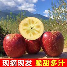 �Ĵ����ɽ���O���������}Դ�������r�ЋDˮ������1��Ұ��