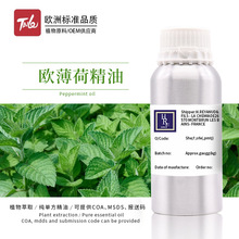 扩香纯精油欧薄荷单方精油批发 进口植物单方美容院刮痧按摩精油