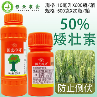 �������`50%�������߲˹���С����ֹ���Lͽ�L����ֲ�����L�{����