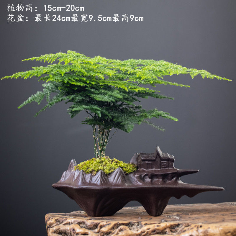 그물 빨간 폭발 절벽 사람들 + 아스파라거스