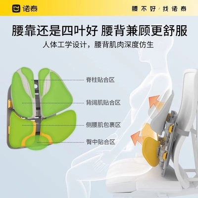 Cushion, Ergonomic Seat for | Waist support