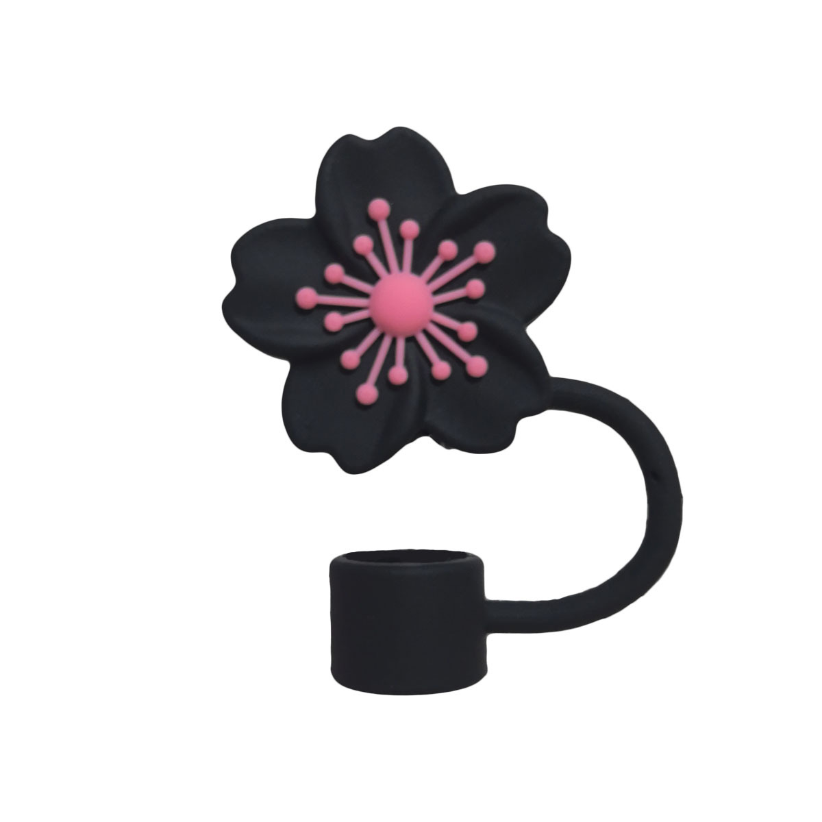 블랙 핑크 베고니아