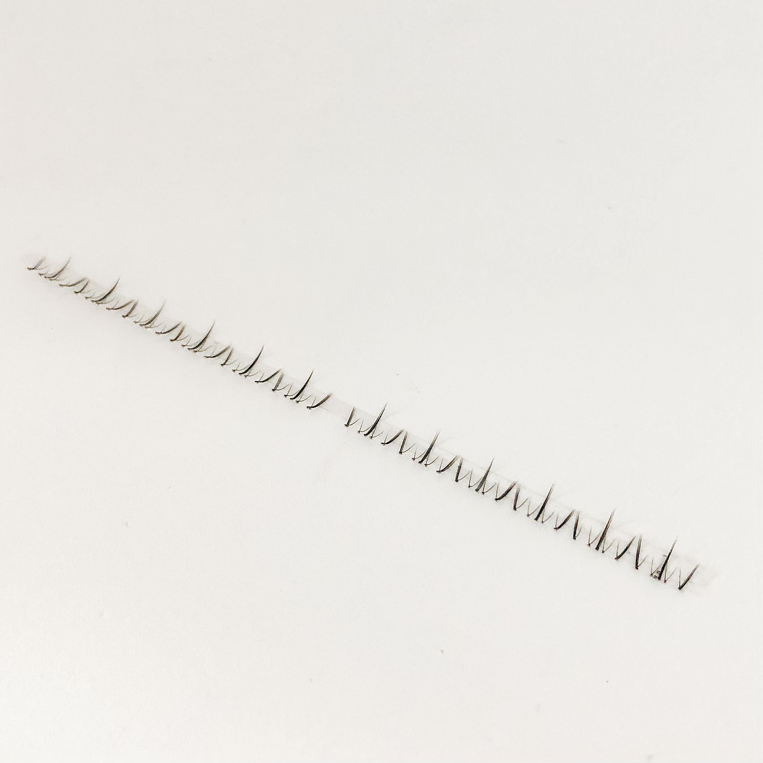 Pestañas inferiores de Zhaojun