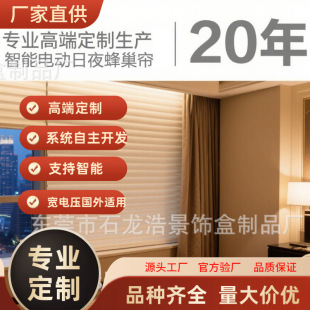Factory Processing Customized Smart Electric Day and Night Honeycomb Curtain Villa Electric Curtain Dual Motor Day and Night Accordion Curtain