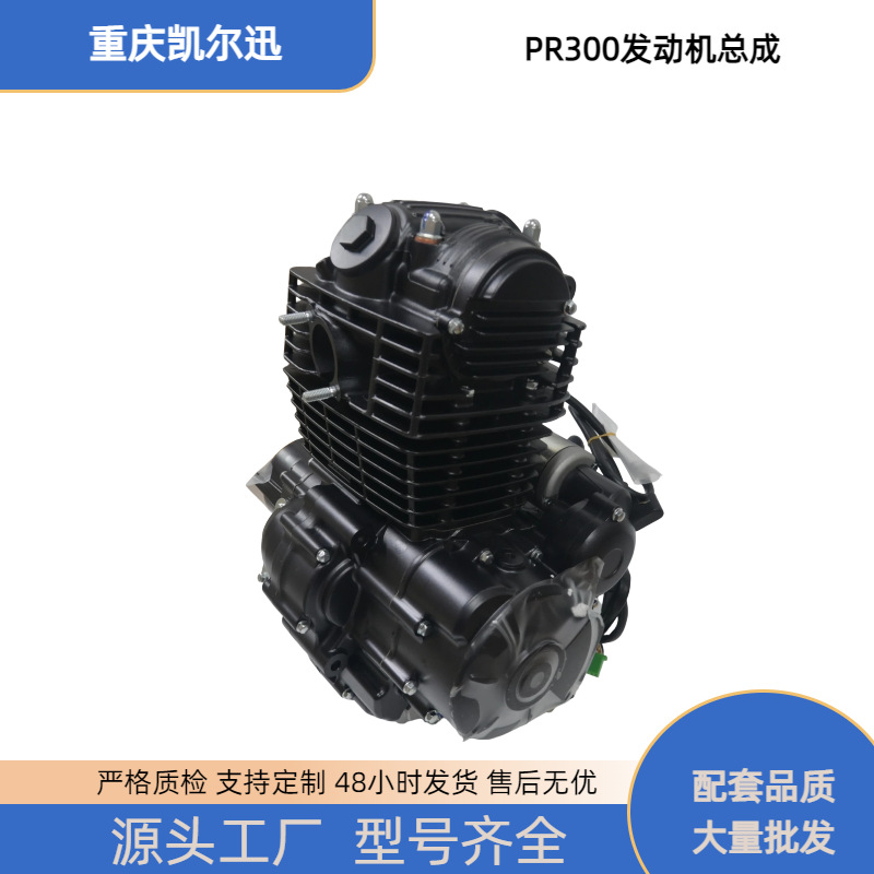 The off-road motorcycle engine assembly is suitable for the Hengjian, Keweisi, and Zuma PR300 motorcycle engines