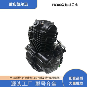 The off-road motorcycle engine assembly is suitable for the Hengjian, Keweisi, and Zuma PR300 motorcycle engines