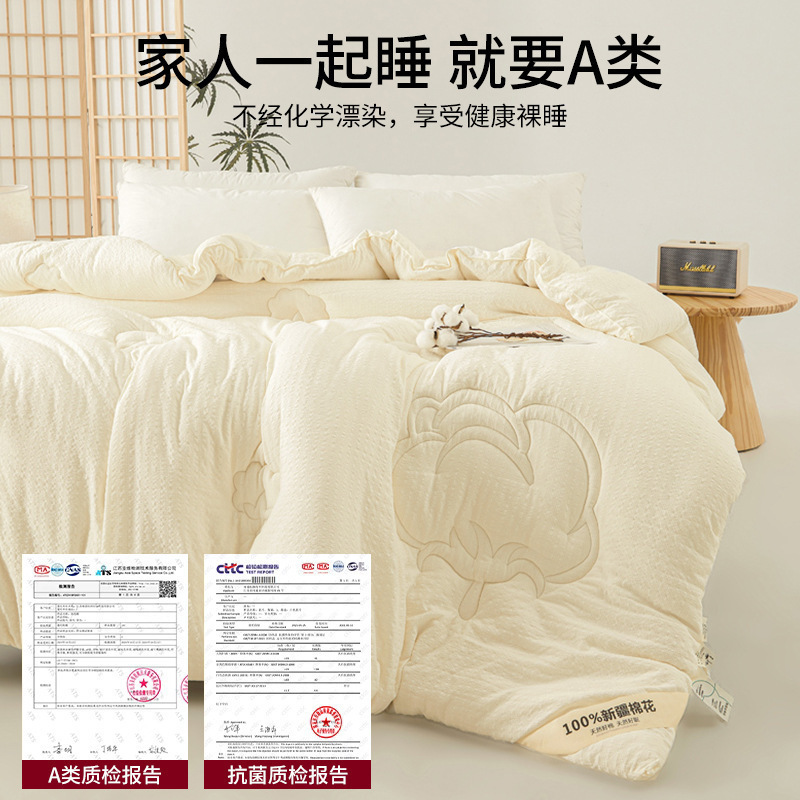 Xinjiang edredón de algodón cuatro estaciones edredón general núcleo de aire acondicionado dormitorio estudiantes edredón de algodón doble espesado calor