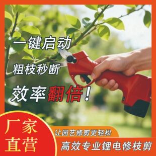 �늼������ʽ��֦�C���@���@֦�l�޼���ʹ��ʡ���L�m���๦��