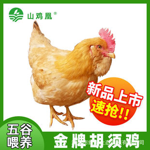 ����u �������T����u �u���������u�r��ɢ�B�ߵ��u���u���r�F��