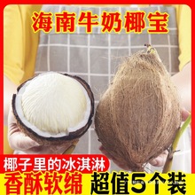 5个装海南牛奶椰宝新鲜水果正宗发芽老椰子椰青肉椰子芯整箱椰皇