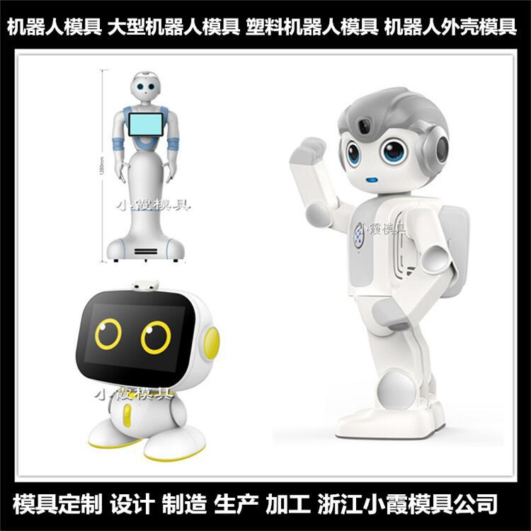 机器人塑料外壳模具 (27)