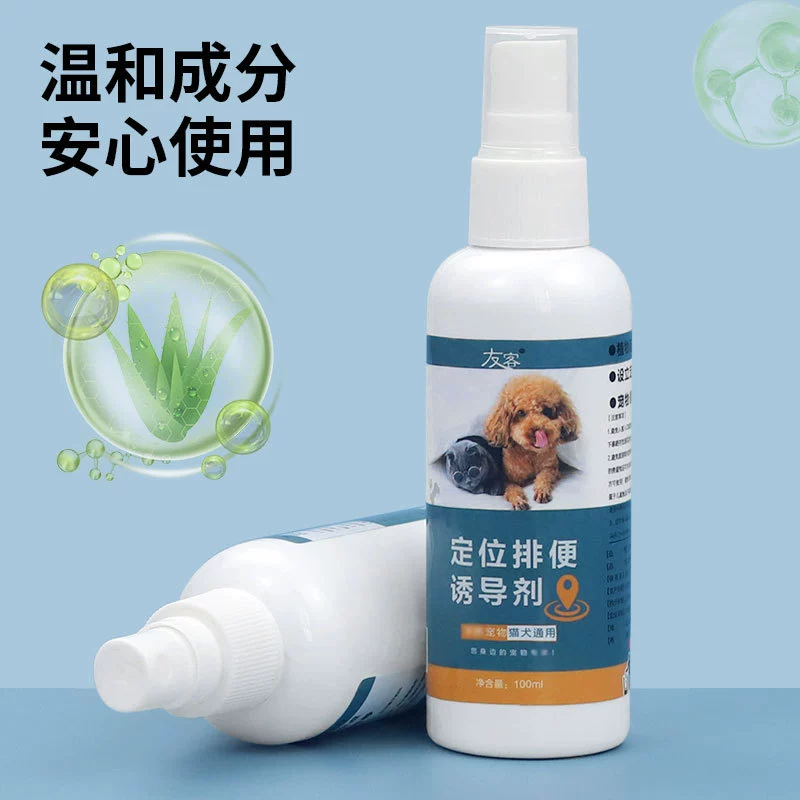 Собака с фиксированной точкой индукция дефекации Собака мочится в туалете