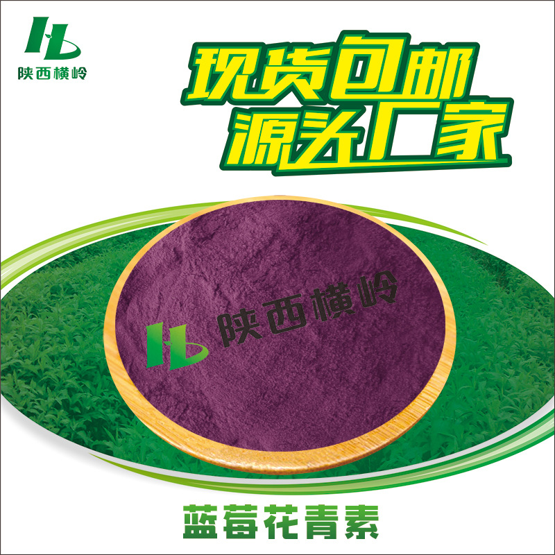 蓝莓提取物 50:1高比例蓝莓粉 含5%蓝莓花青素 1KG起订 量大优惠