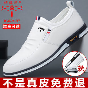 ��������Ƥ��ɫ��ʿƤЬ�¿��̄����eţƤЬ������ܛ����ĥܛƤЬ