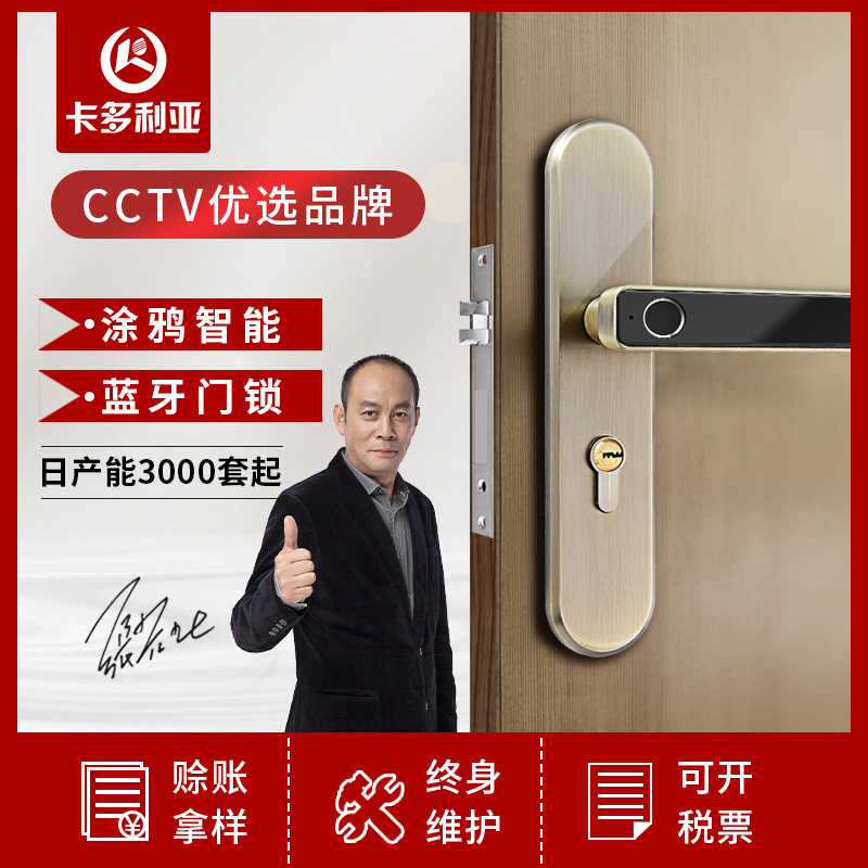 Caddoa Leah Graffiti Bluetooth Theft prevention intelligence Door lock semi-automatic Electronics household A grip intelligence Fingerprint lock