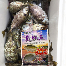 泥猛饵料海钓臭肚王面饵搓饵常温饵料专攻钓鱼臭肚丸钓饵花漫钓饵