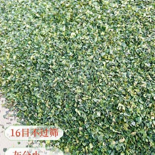 ��~���庣̦1������ζ�a�~���~��ζ�~�DҰឺڿ���ζ�D�Ϻ���Ƭ