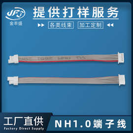 定制2651红灰边排线 NH1.0带扣端子线 1.0mm间距线 液晶显示屏线