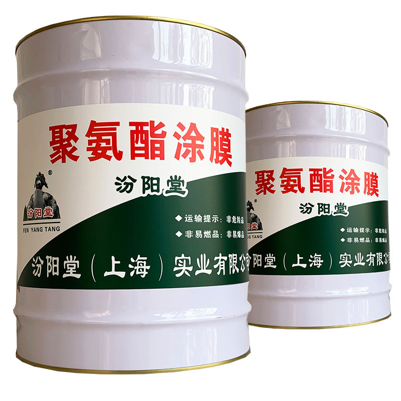 聚氨酯涂膜，汾阳堂，聚氨酯涂膜，产品在30分钟内用完！