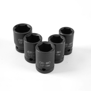 �����Ͳ1/2��23�������ޏS�؂����L����Ͳ�t�C�����͸��g