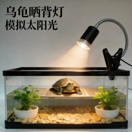 装饰台灯;水族照明设备;宠物周边用品