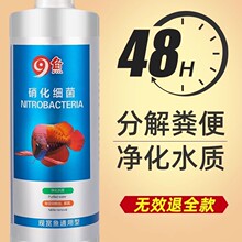 ���������~���Ã�ˮ���~ș�B�~����ˮ�|�������ֽ��~�S�������Һ