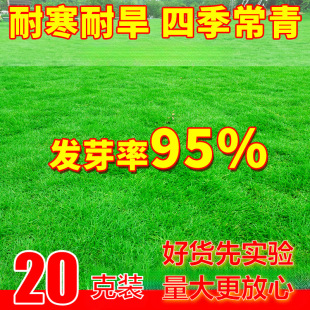 ��ƺ�����ļ������̺��ͥԺ�G�������ݹ������o�¹������ӷN����