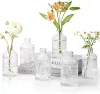 Transparent set solar-powered, 6 pieces