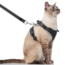 跨境尼龙布猫咪牵引绳可调节牵猫绳 可折叠溜猫绳背心式宠物胸背