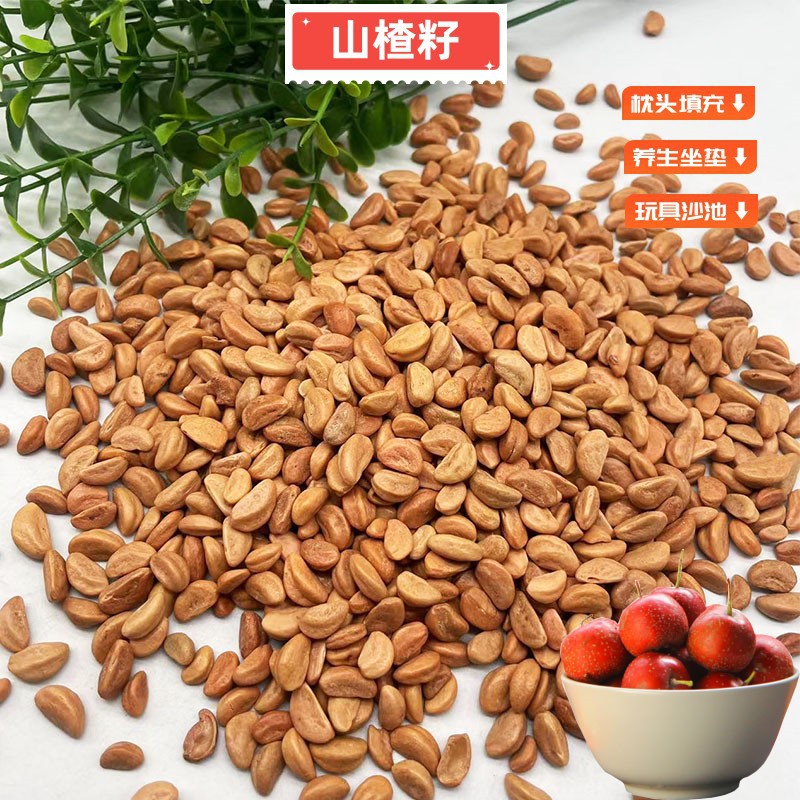 厂家供应山楂籽 汽车坐垫枕头填充物干净新货玩具沙池填充山楂籽