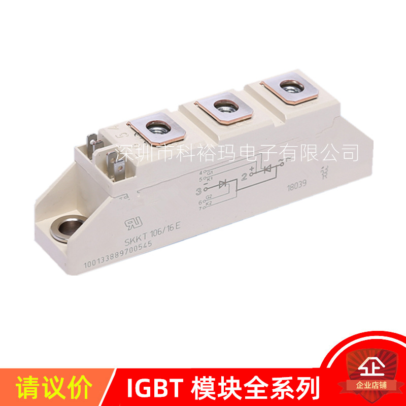 SKKT27B16E  SKKT30/16E 专营各种 IGBT模块 功率模块