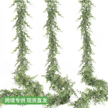 ���R�d����Gֲ���찴�仨�h����1.8��insС�ȼ����ڒ�ֲ��ّҒ�