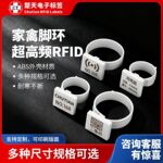 家禽脚环超高频RFID鸡鸭鹅足环动物电子标签养殖业溯源追踪管理