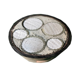 �������|WF-ZR-YJLV22 0.6/1KV 3+2о�o���~�z�b��ȼ�����|