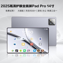 ����9200ƽ�����2025�¿�pad���廤����5gWIFI����14��ѧϰ˫��