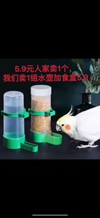 Bird Water Dispenser, Water Feeder, Drinking Bottle, Parrot Automatic Feeder, External Bird Feeder, Small Food Box, Anti-Spill