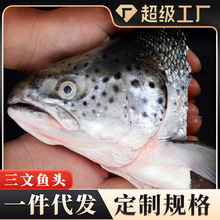 三文鱼鱼头法罗群岛冰鲜三文鱼头新鲜三文鱼肉商用批发定制代工