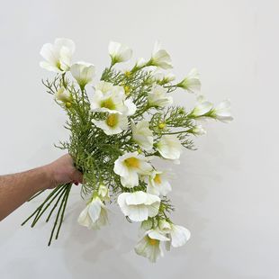 ������Ҋ�ݲ�˹��ҰȤ�ٻ��Ҿ��Ʒ��ˇ