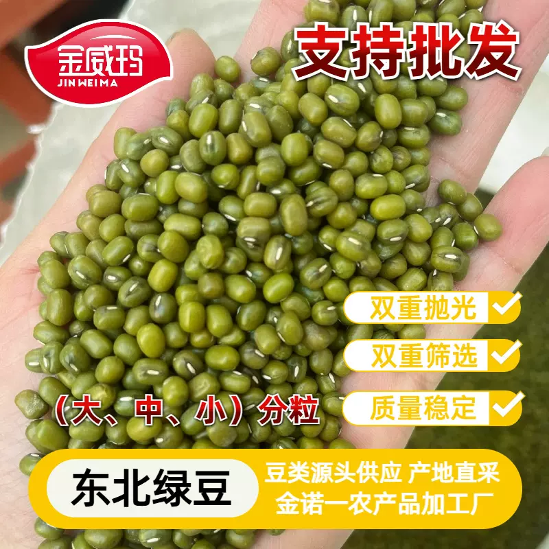 金威码牌 金诺一东北绿豆 含水率≤12% 精选新粮现货大中小颗粒全