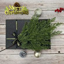 �S�����l����Gֲѩ�ɼt���}�Q�b�������ᘁ��R�d��Ʒ���յ���