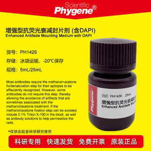 PH1426 PhyLight&trade; �����Ϳ��ɹ�˥�p��Ƭ����DAPI ��� Phygene